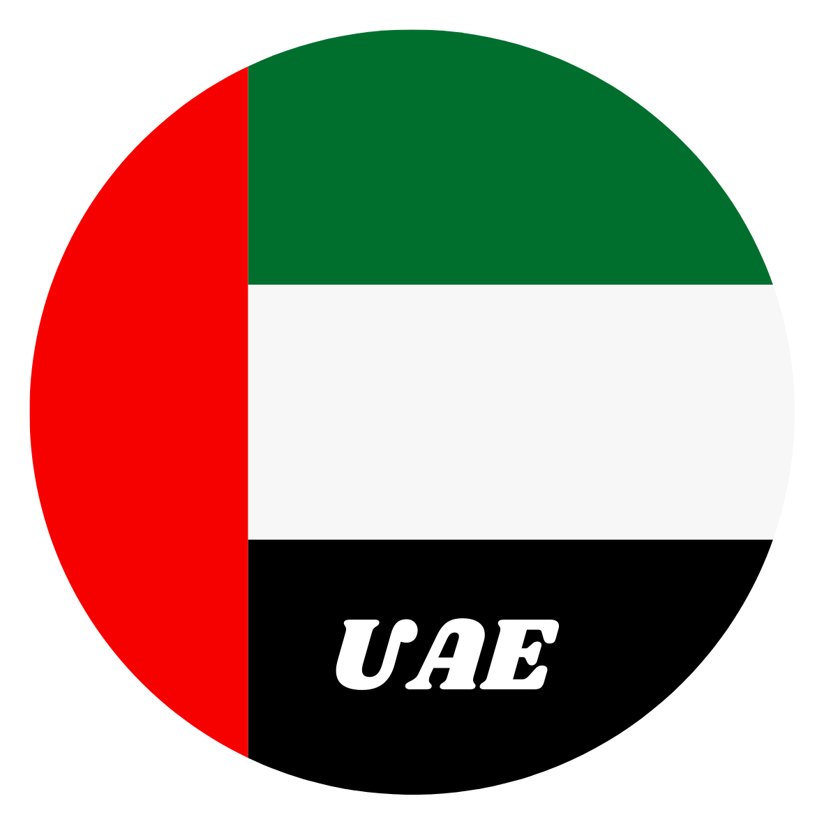 UAE flag fridge magnet