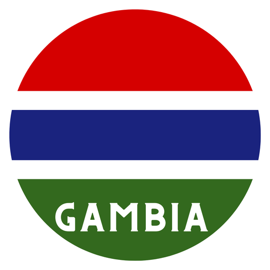 Gambia flag fridge magnet