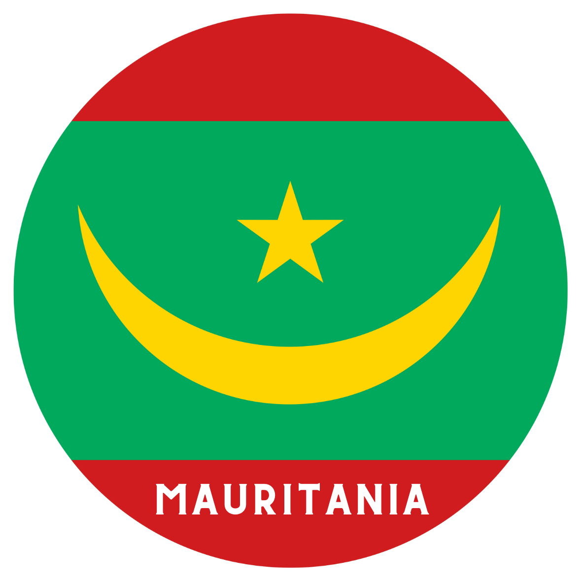 Mauritania flag fridge magnet