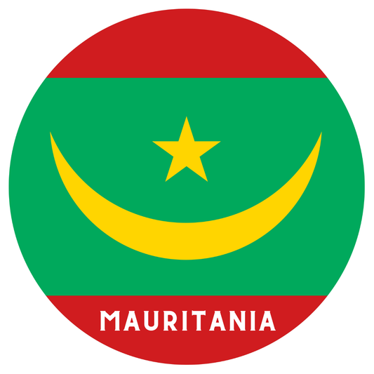 Mauritania flag fridge magnet