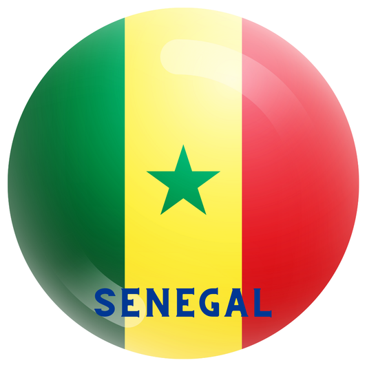 Senegal flag fridge magnet