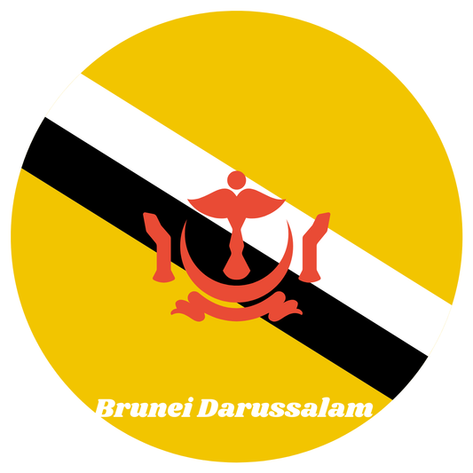 Brunei flag fridge magnet